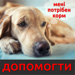 Мій друг