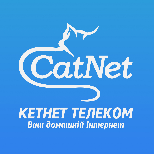 13 ОПЛАТА ІНТЕРНЕТУ CatNet